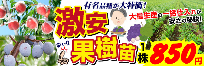 激安
