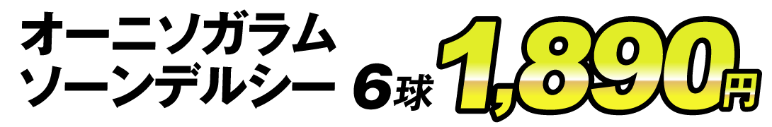 ソーンデルシー6球1890円