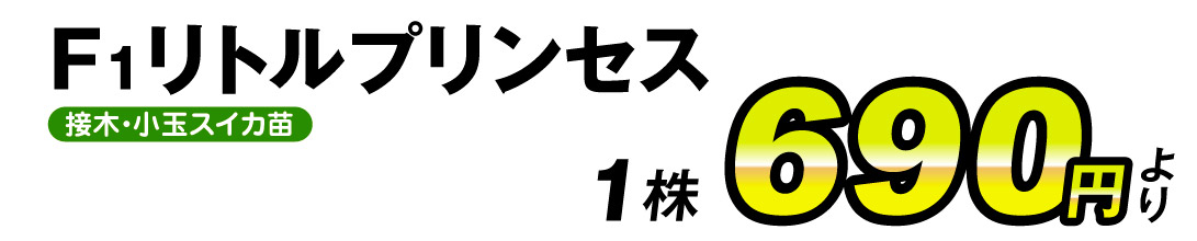 リトルプリンセス1株・価格