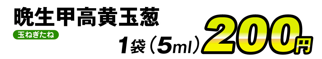 晩生甲高黄玉葱・価格