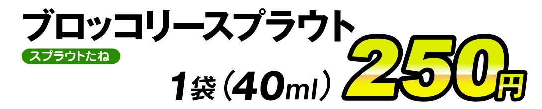 ブロッコリースプラウト・価格