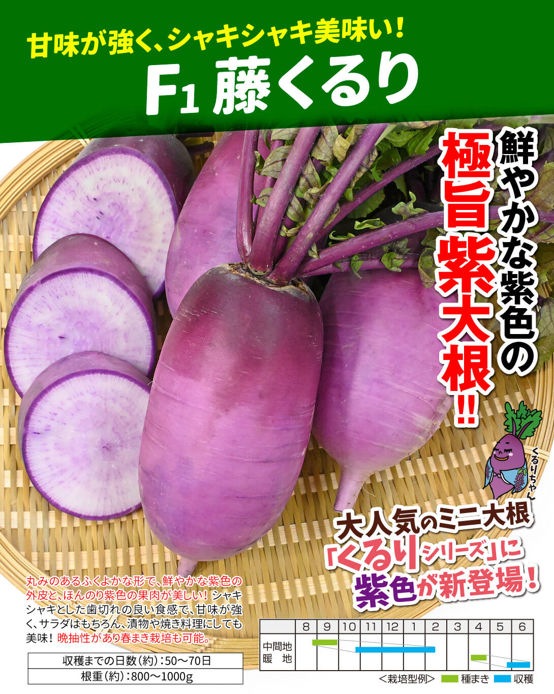 藤くるり・メイン