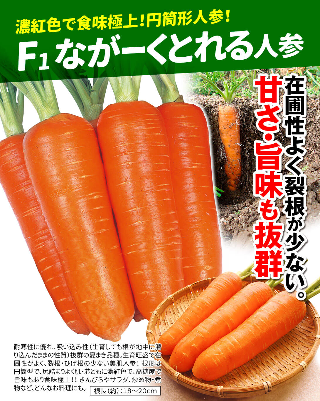 ながーくとれる人参・メイン