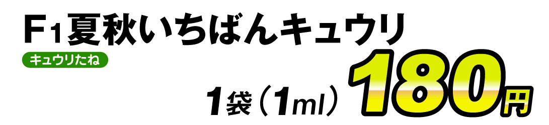 夏秋いちばんキュウリ・価格