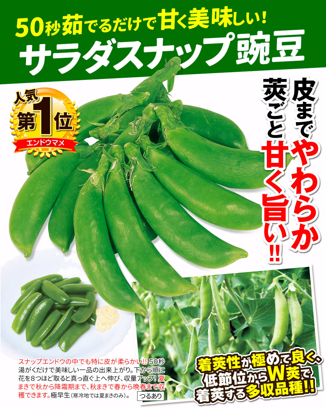 サラダスナップ・メイン