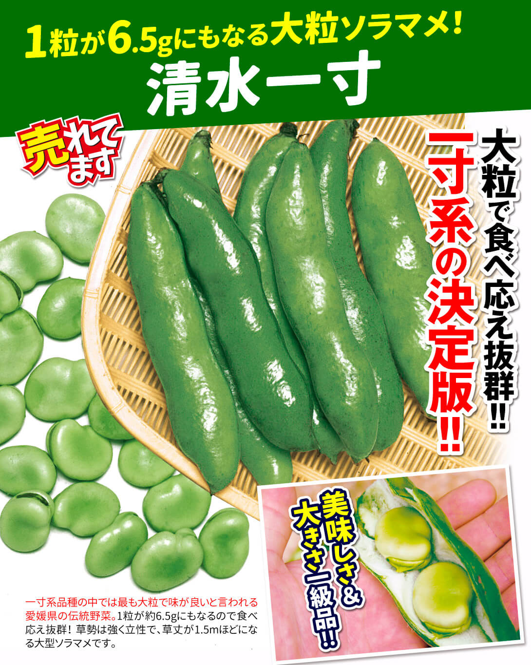 清水一寸・メイン