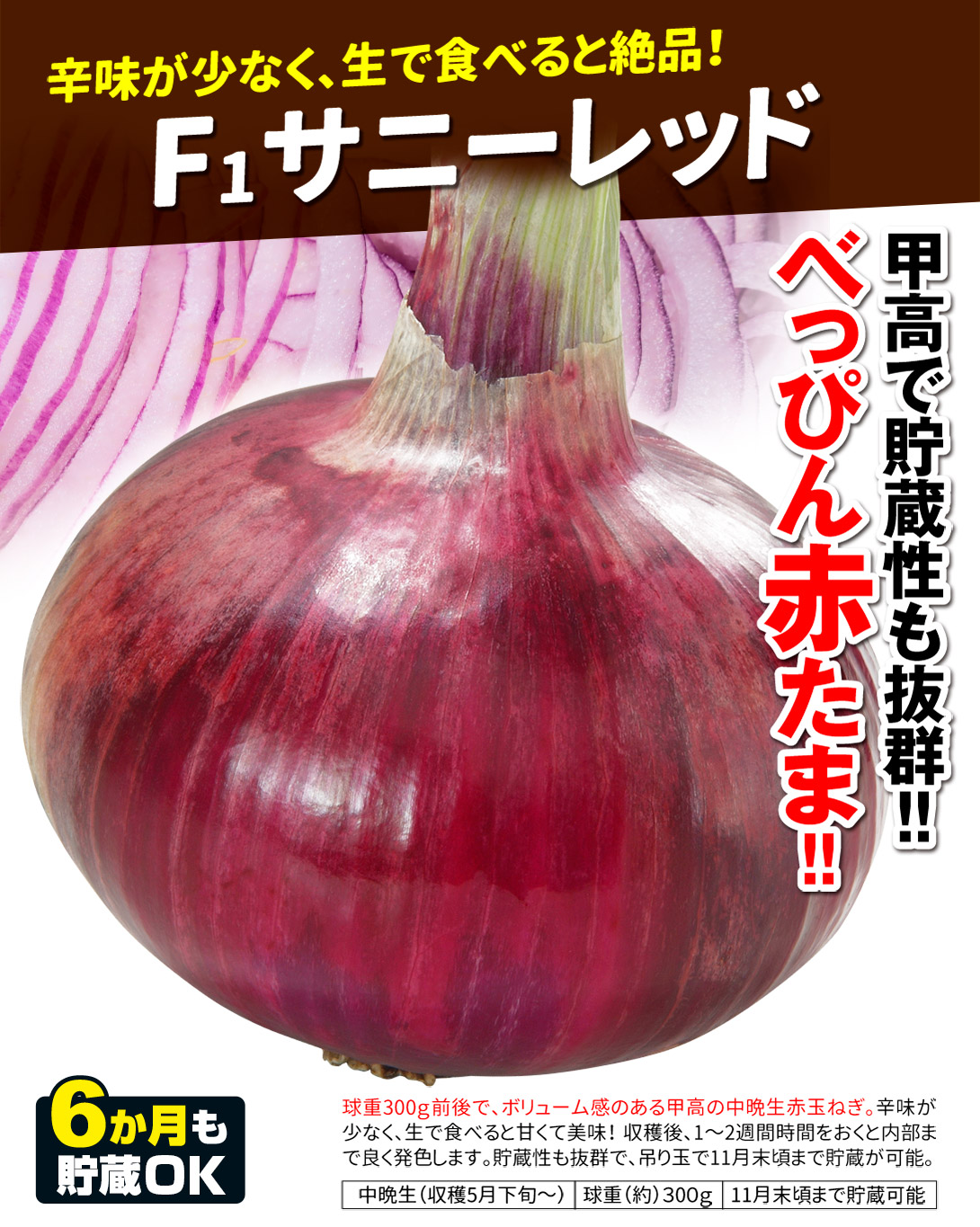 サニーレッド・メイン