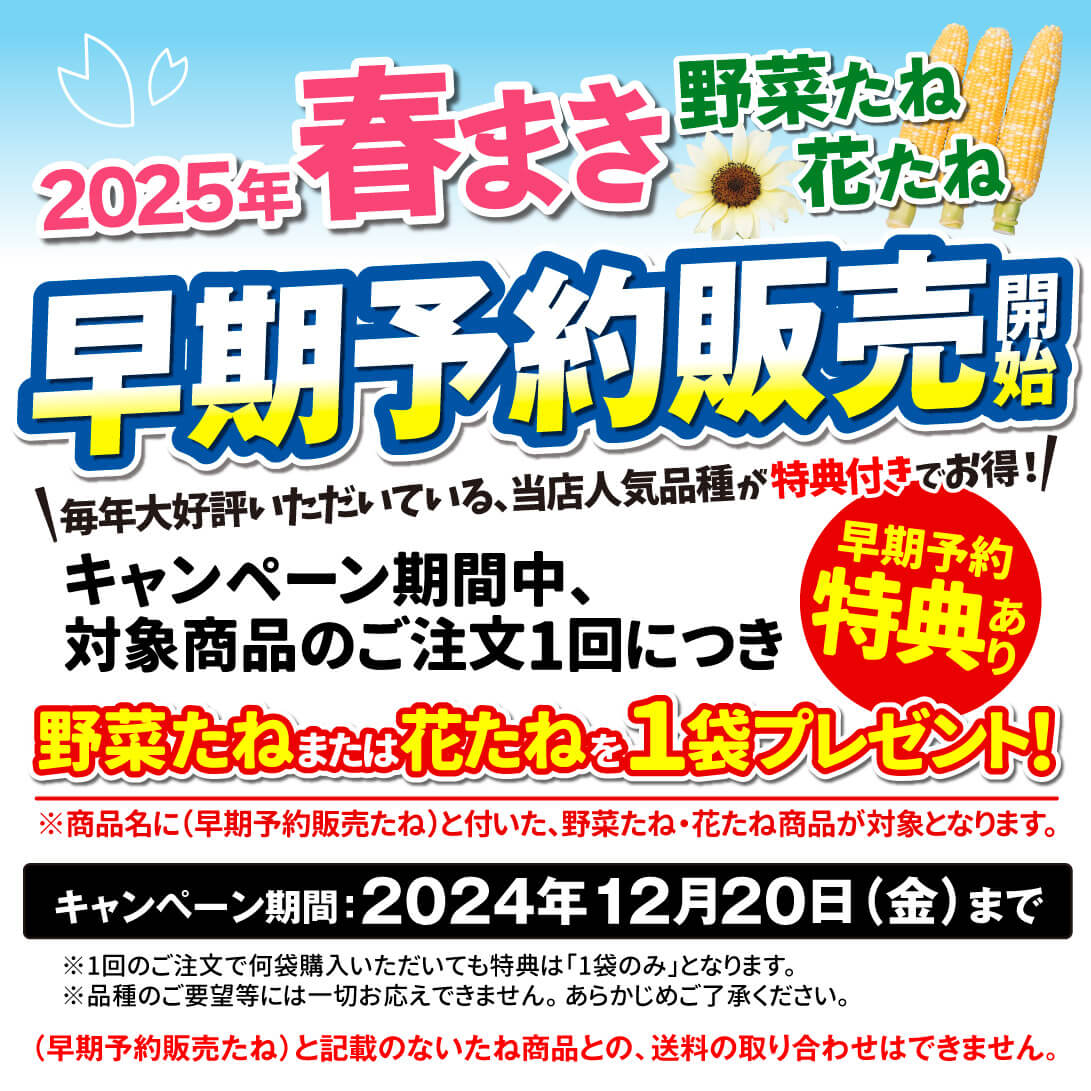 たね早期予約販売