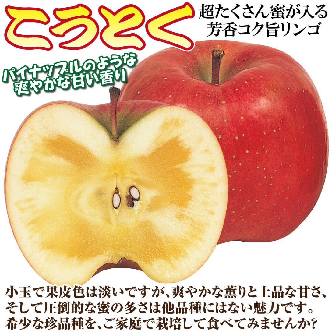 こうとく