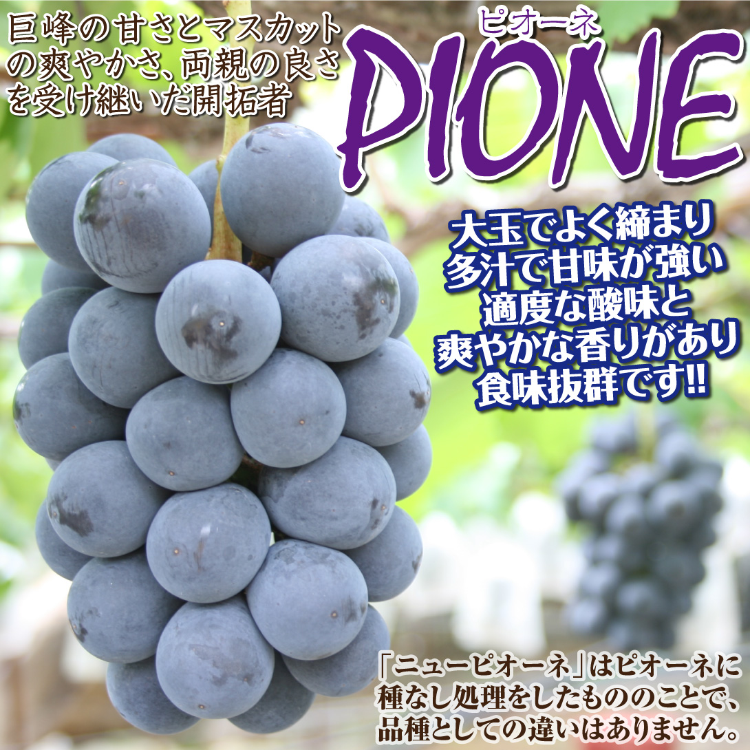 ピオーネ