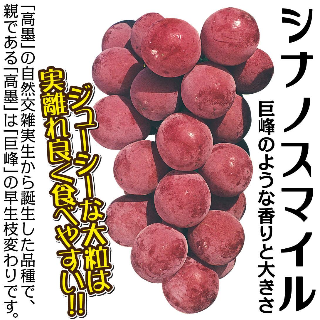 シナノスマイル