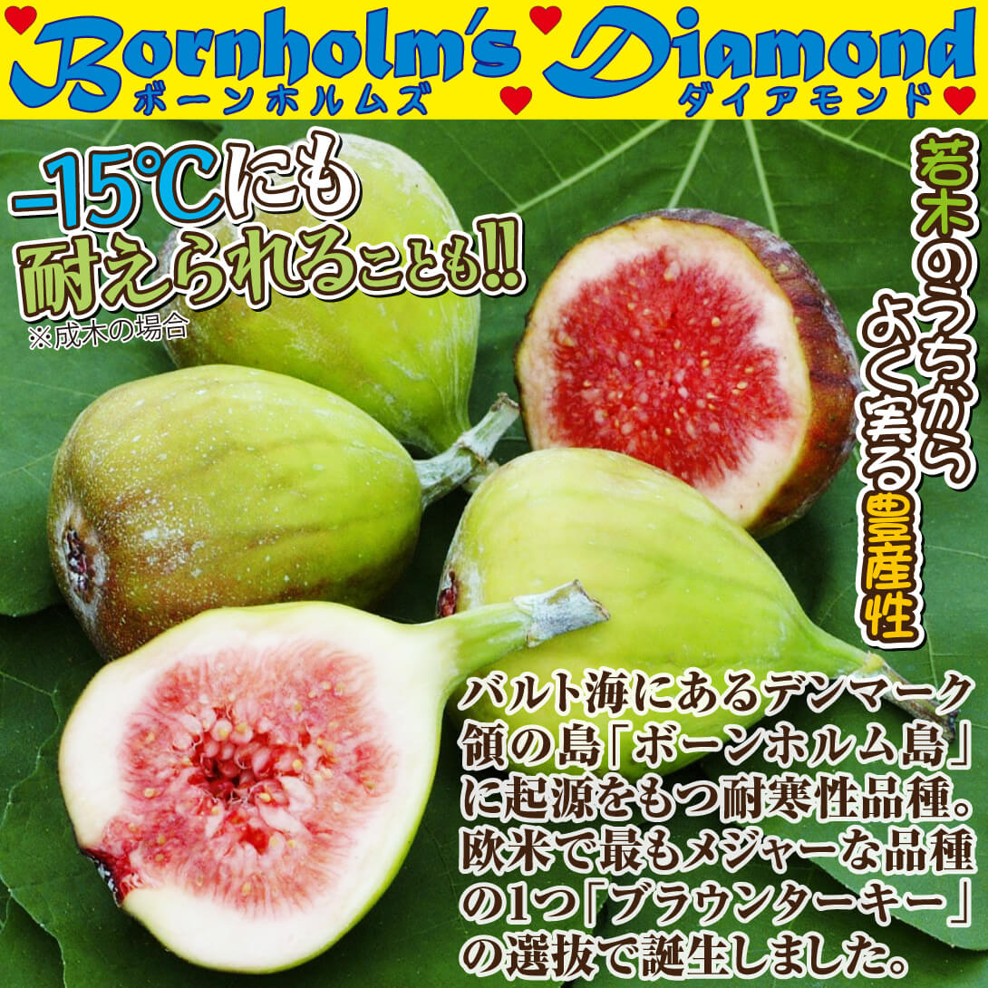 ボーンホルムズダイアモンド