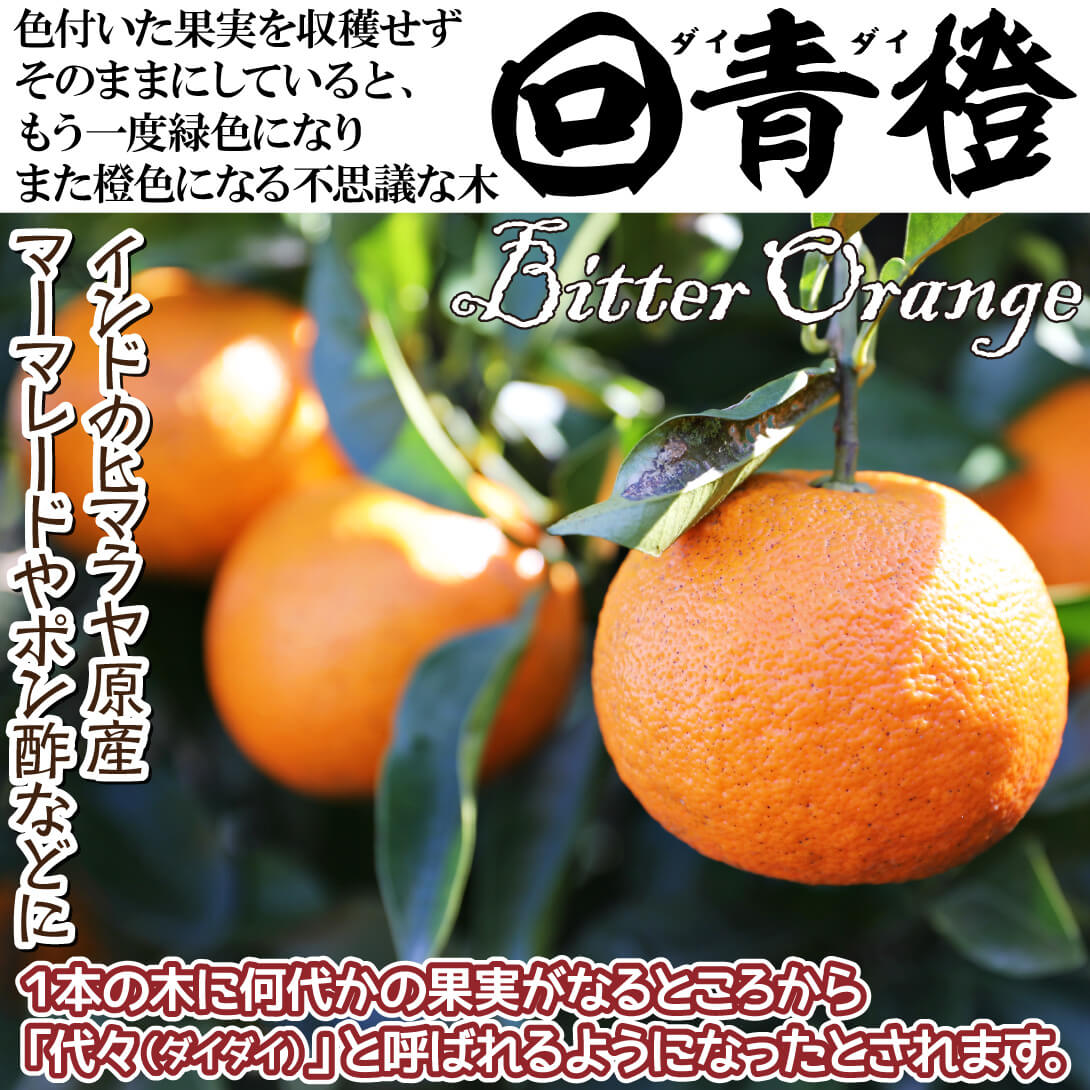 ダイダイ