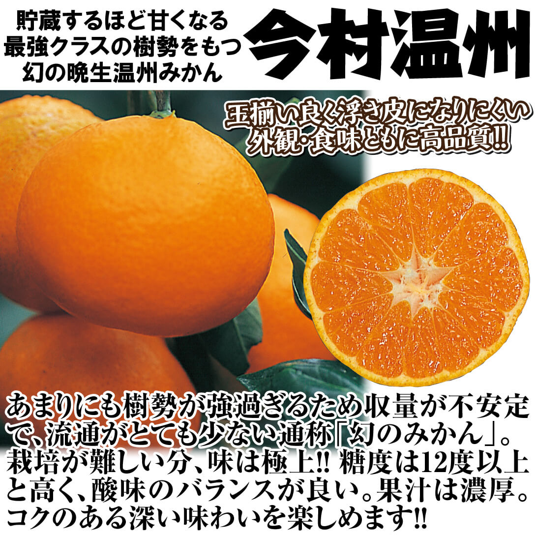 今村温州