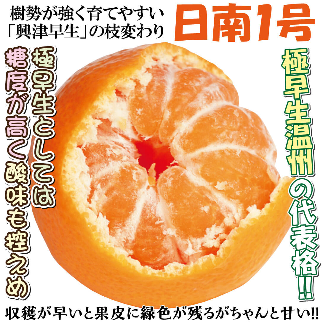 日南1号