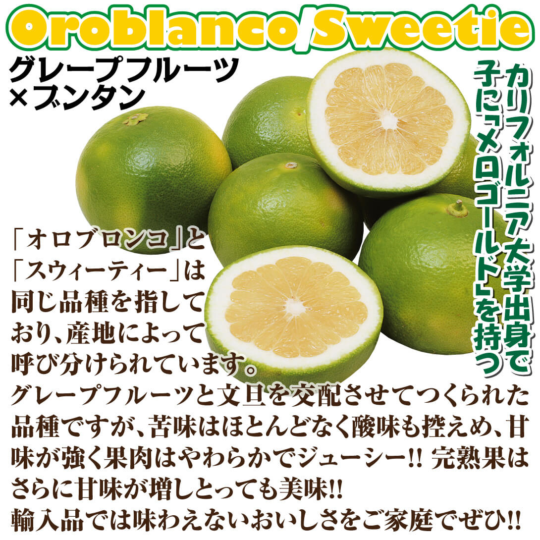 オロブロンコ