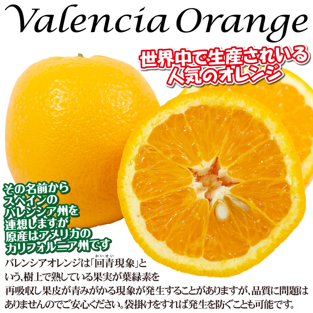 フロストバレンシアオレンジ