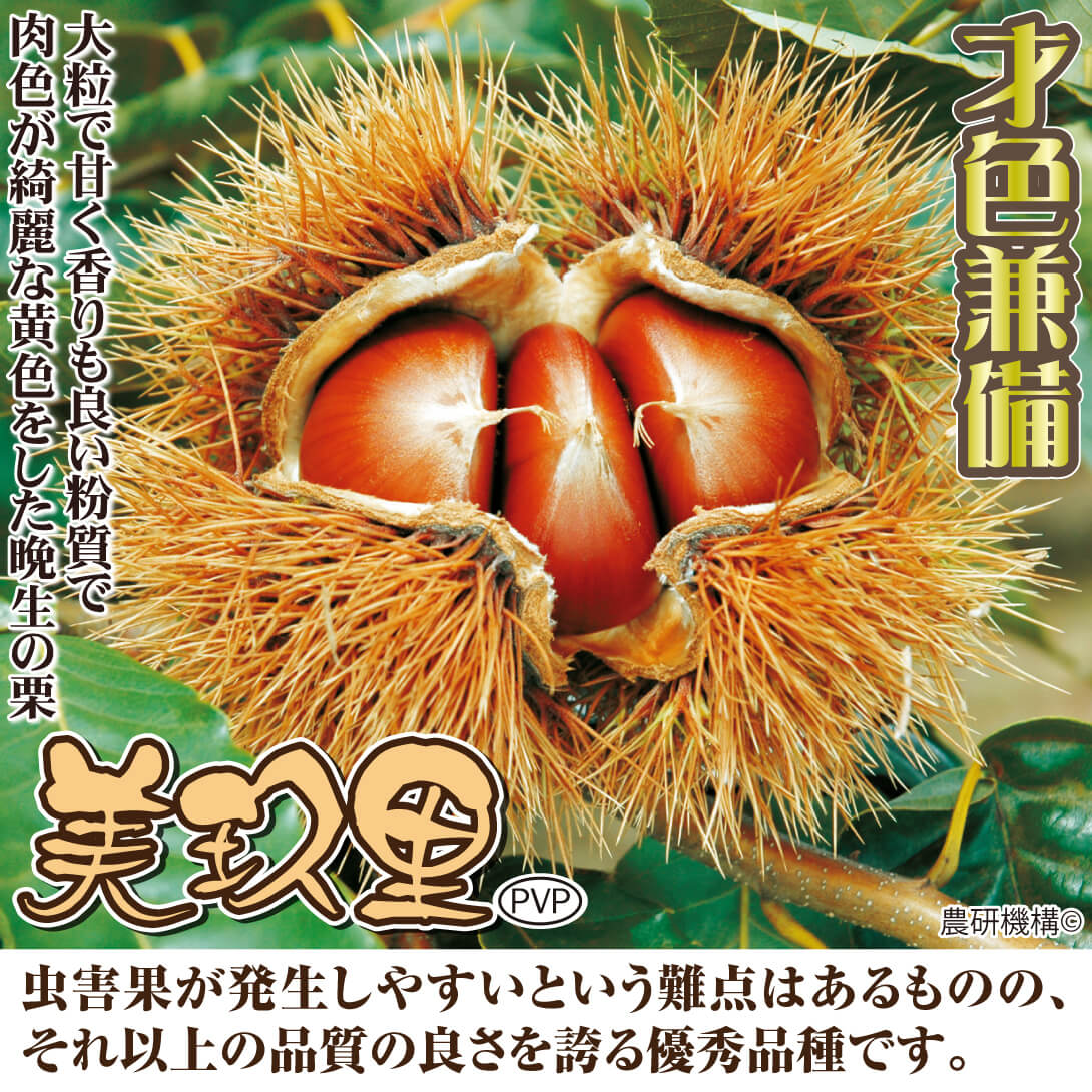 美玖里