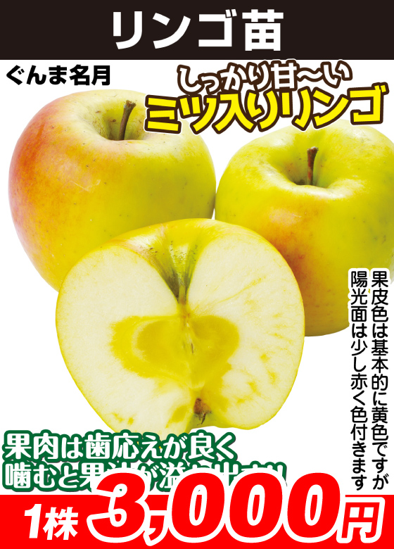 ぐんま名月
