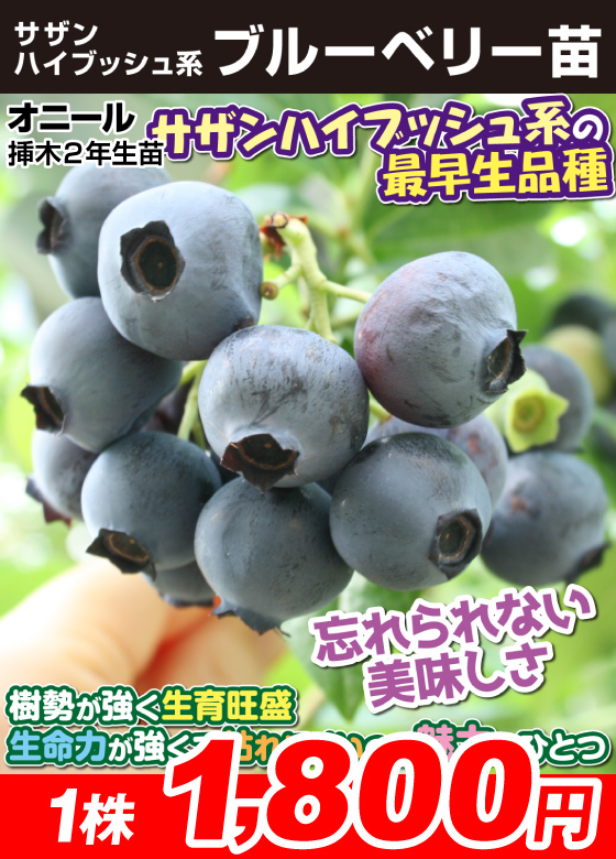 オニール