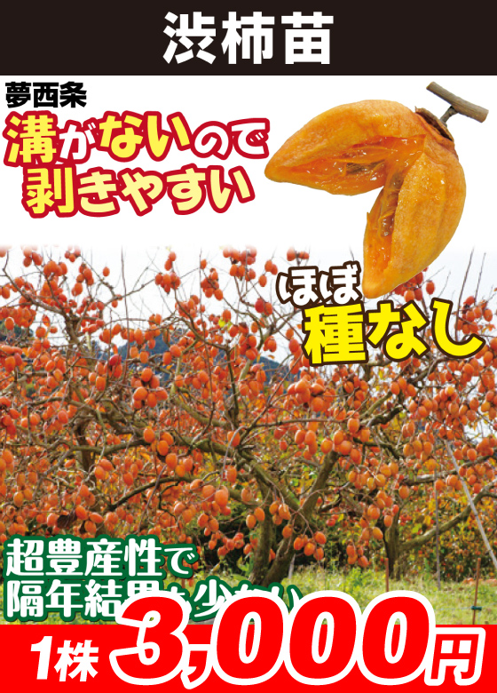 夢西条 渋柿