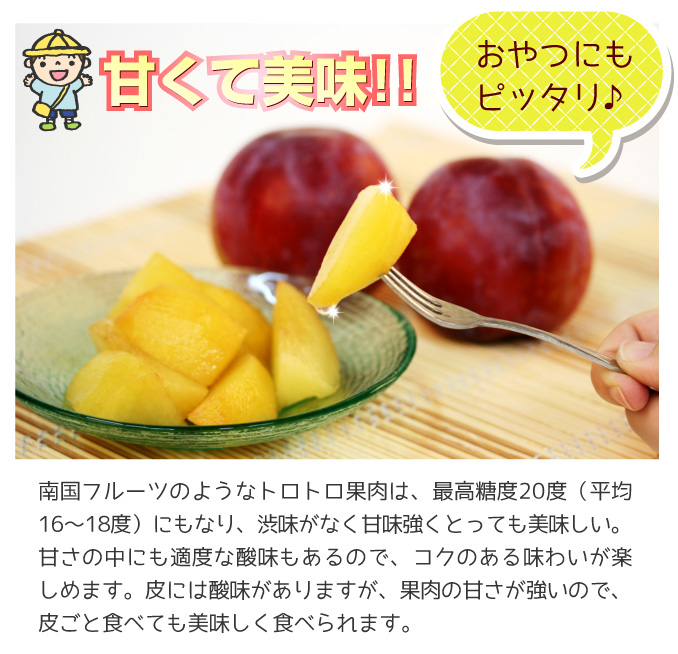 貴陽3