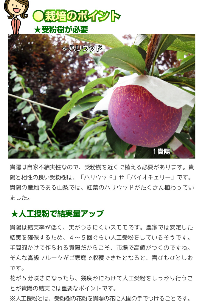 貴陽4