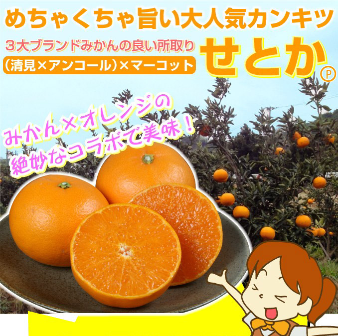 オレンジ せとか