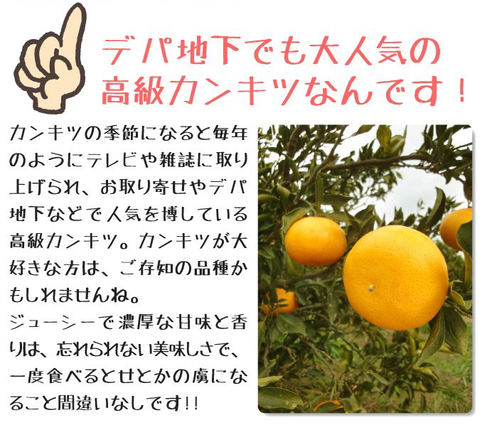 デパ地下でも人気