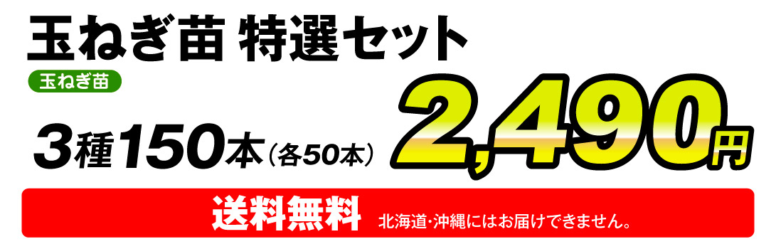 玉ねぎ苗特選セット・価格
