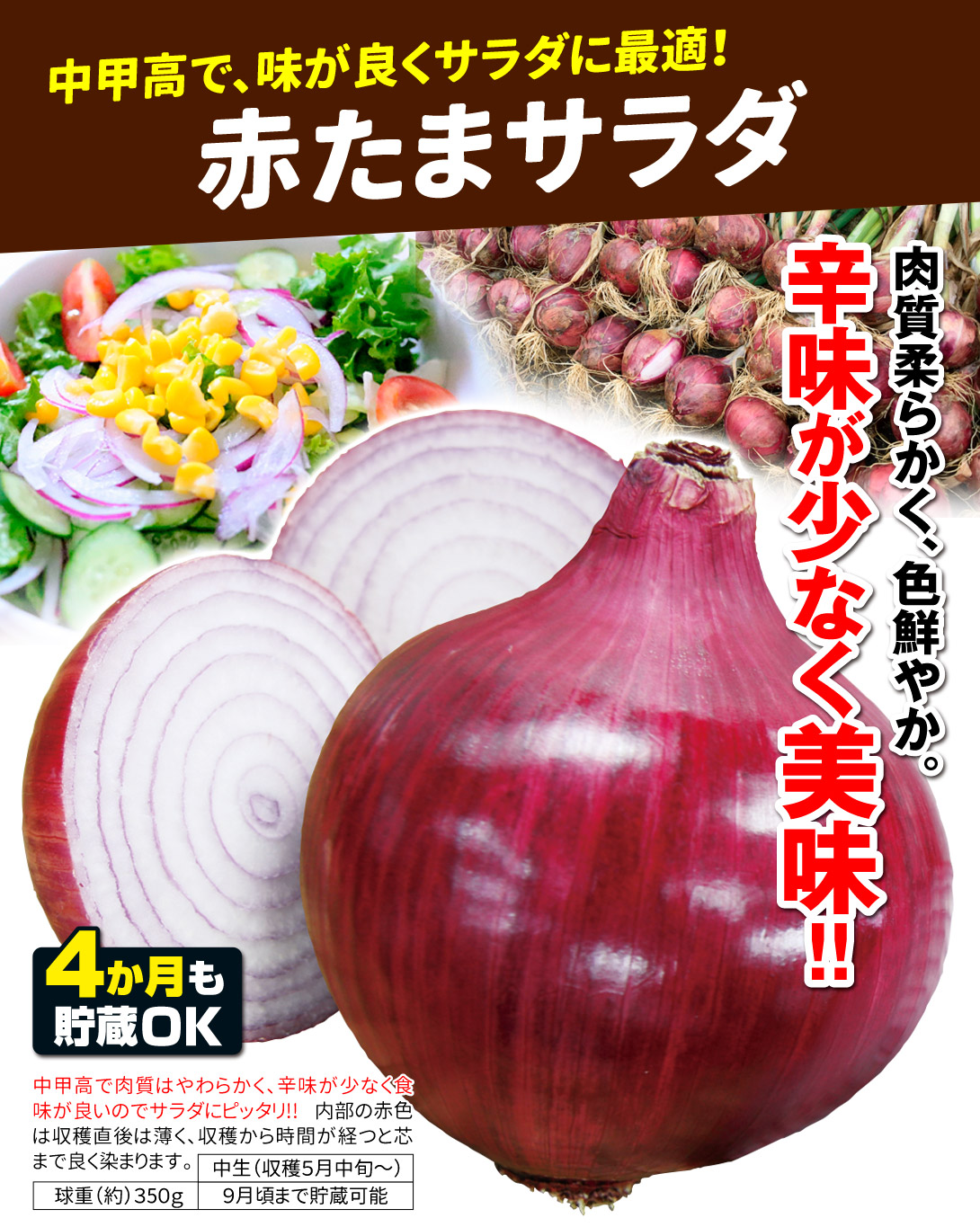 赤たまサラダ・メイン