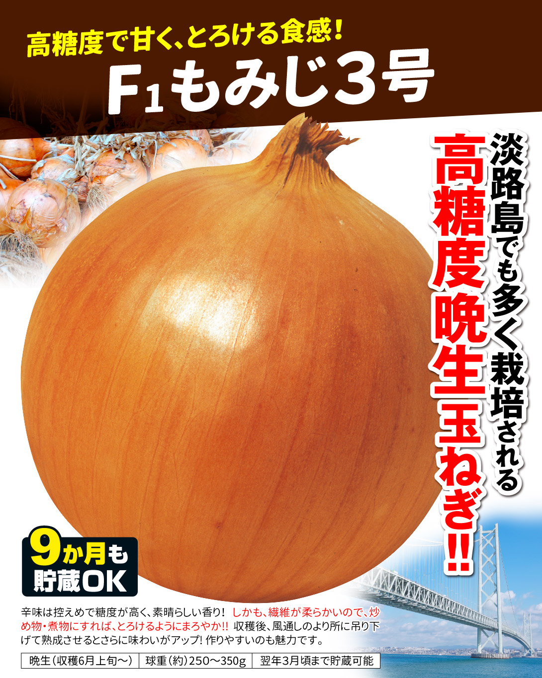 もみじ3号・メイン