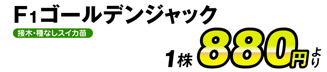 ゴールデンジャック・価格
