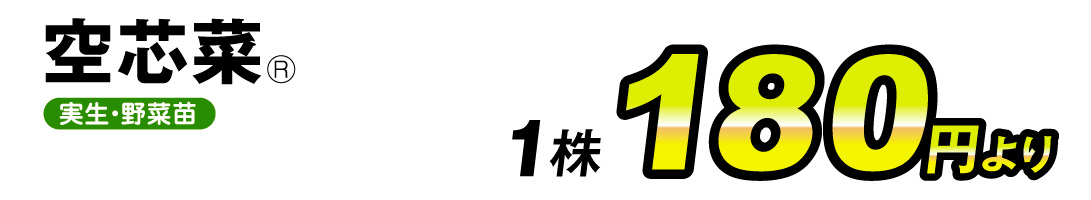 空芯菜・価格