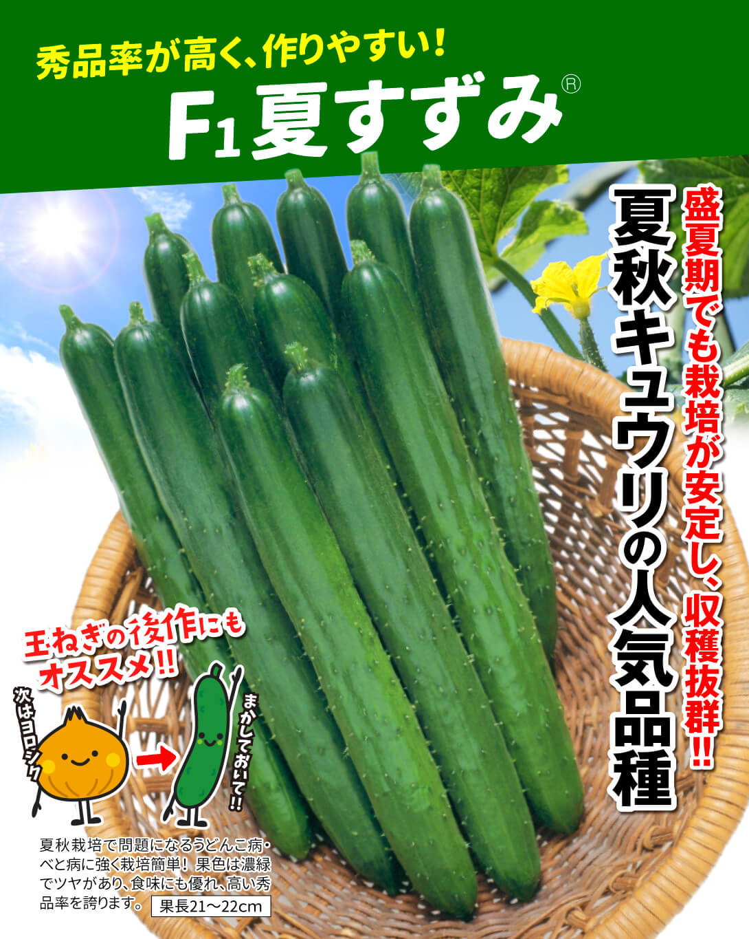 夏すずみ・メイン