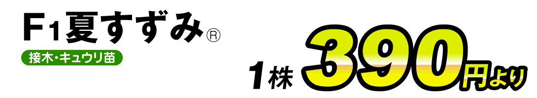 夏すずみ1株・価格