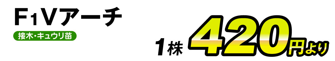Vアーチ1株・価格