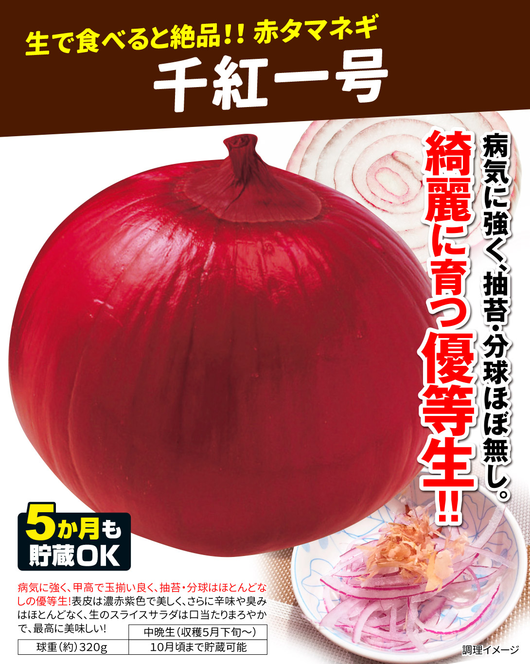 千紅一号・メイン