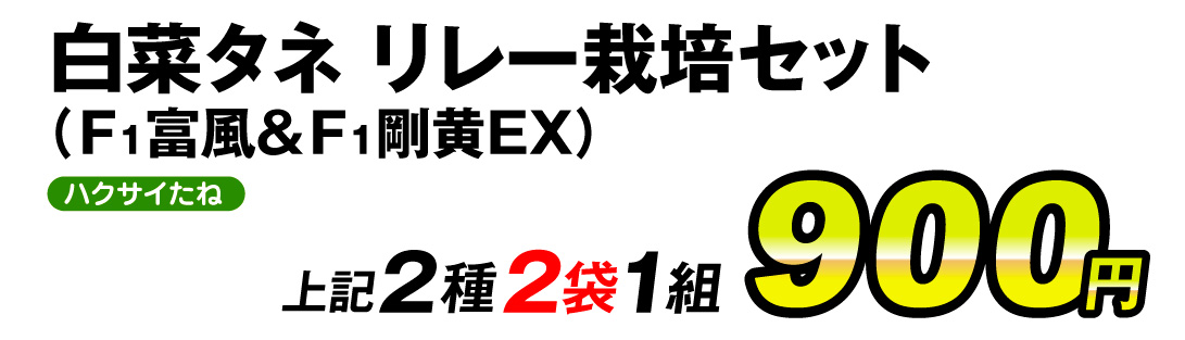 白菜リレー栽培セット・価格