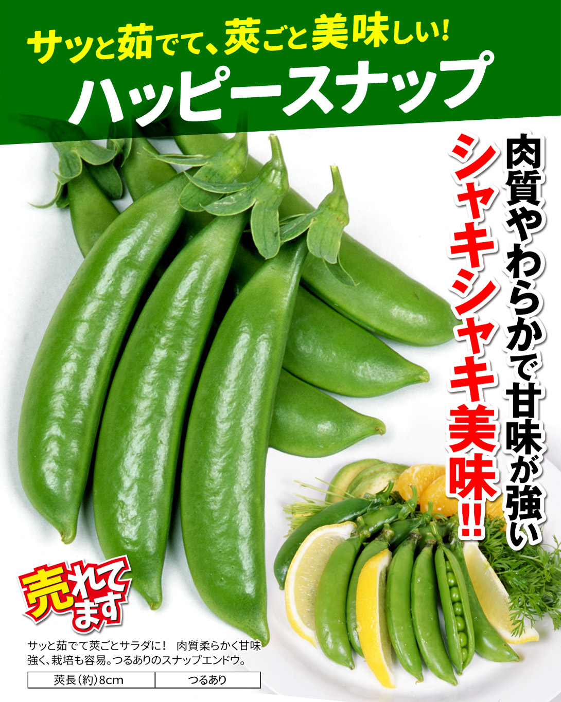 ハッピースナップ・メイン