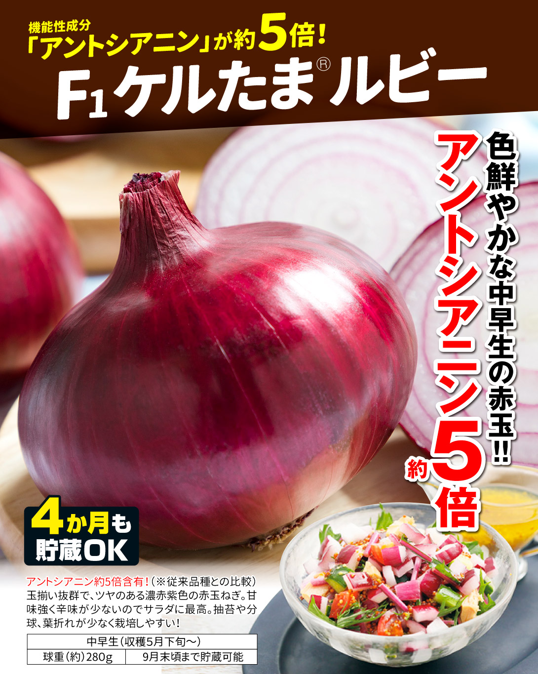 ケルたまルビー・メイン