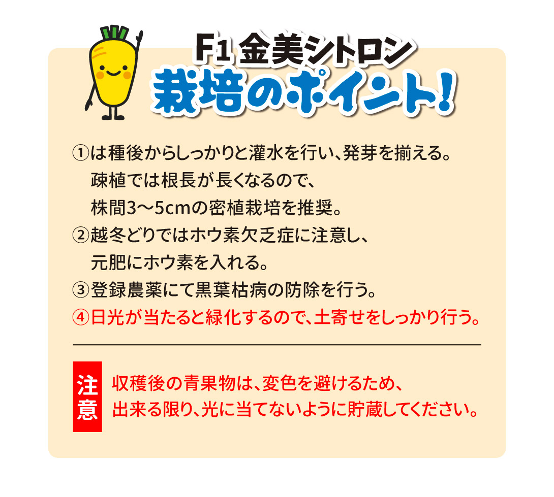 F1金美シトロン・栽培ポイント