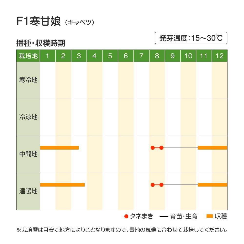 寒甘娘・作型