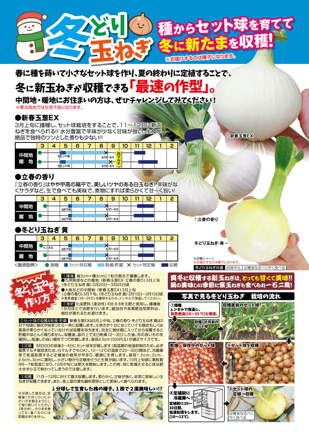 冬どり玉ねぎ説明書