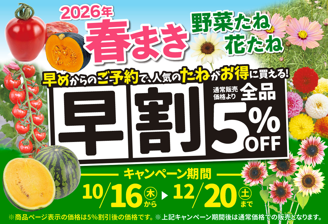 たね早割タイトル