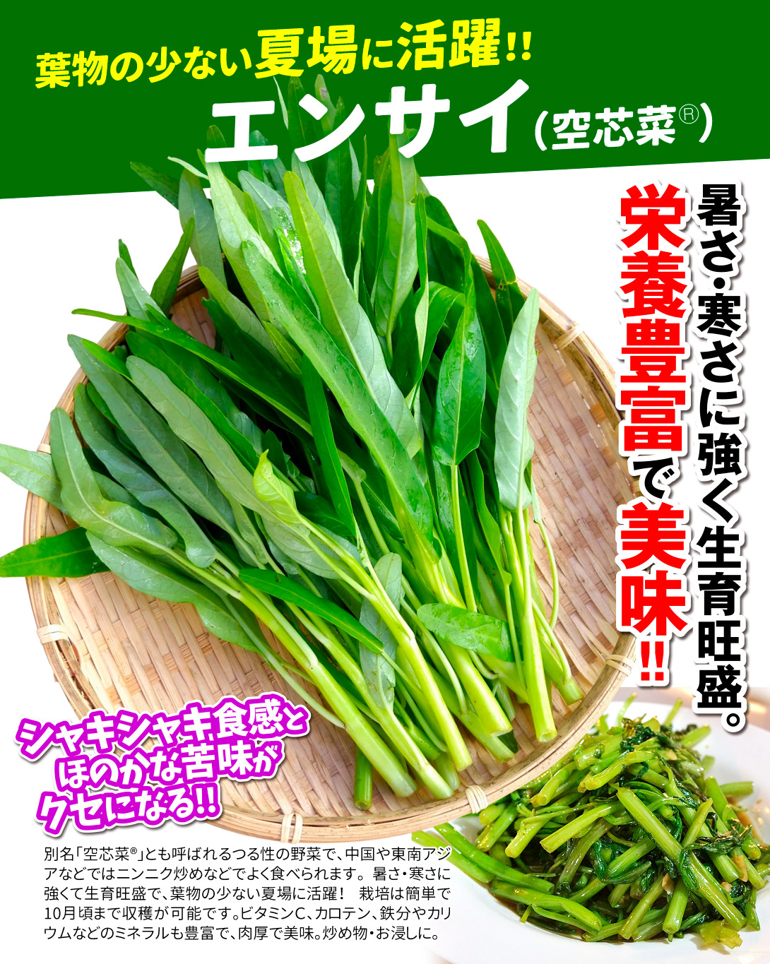 エンサイ・メイン
