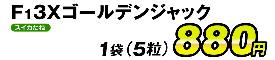 ゴールデンジャック・価格