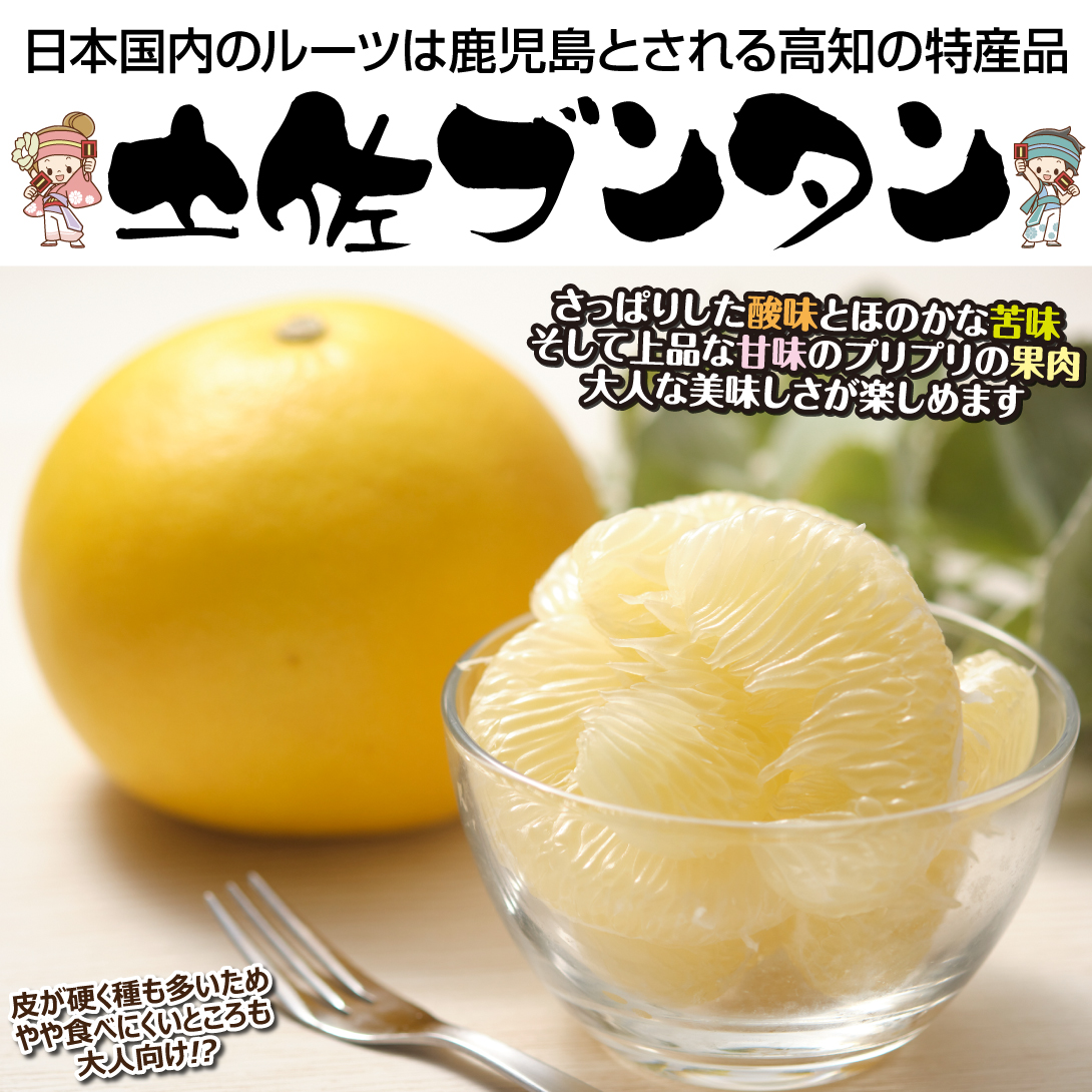 土佐ブンタン