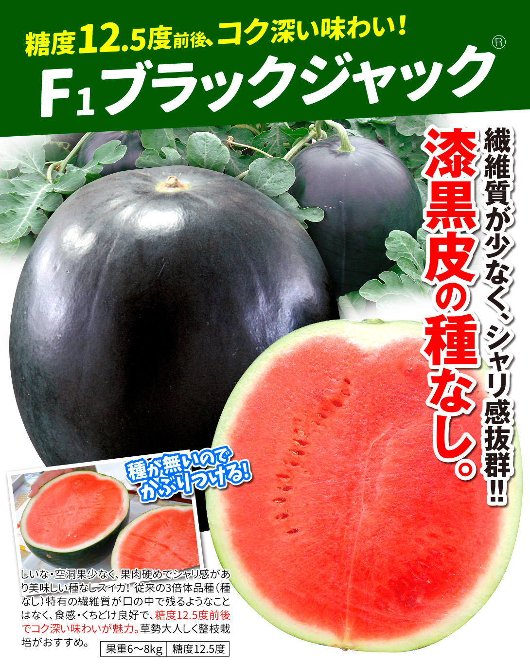 ブラックジャック・メイン