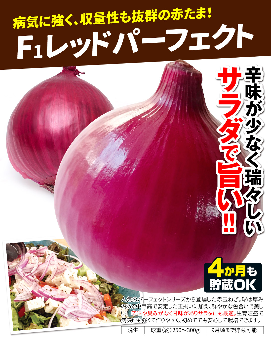 レッドパーフェクト・メイン